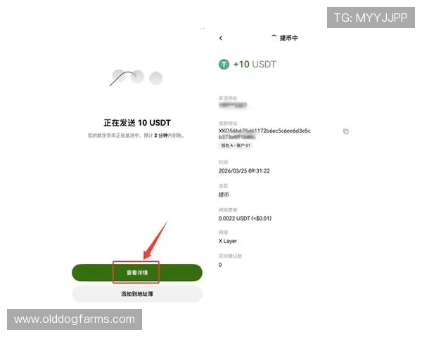 澳门新濠电游官网充值提款流程详细说明安全高效 澳门新濠电游官网充值提款流程详细说明安全高效
