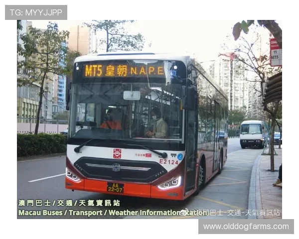 澳门置地广场位置交通指南,助您轻松规划您的到访路线与出行方案 澳门置地广场位置交通指南,助您轻松规划您的到访路线与出行方案