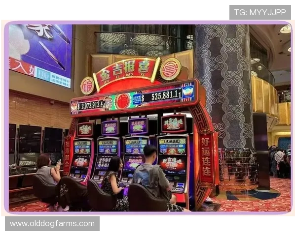 澳门角子机APP免费下载，轻松开启你的澳门角子机游戏之旅，享受高额奖金奖励