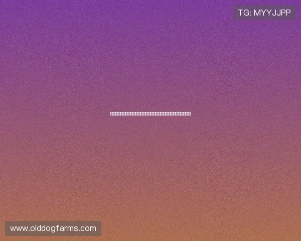 如何购买世界杯厄瓜多尔与库拉索比赛的球票,详细购票流程与注意事项 如何购买世界杯厄瓜多尔与库拉索比赛的球票,详细购票流程与注意事项