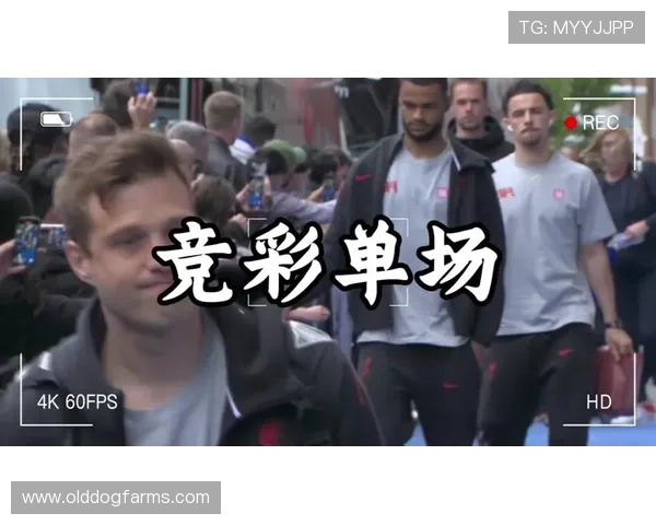 德国对阵库拉索世界杯比赛竞彩玩法介绍及实用投注技巧分享