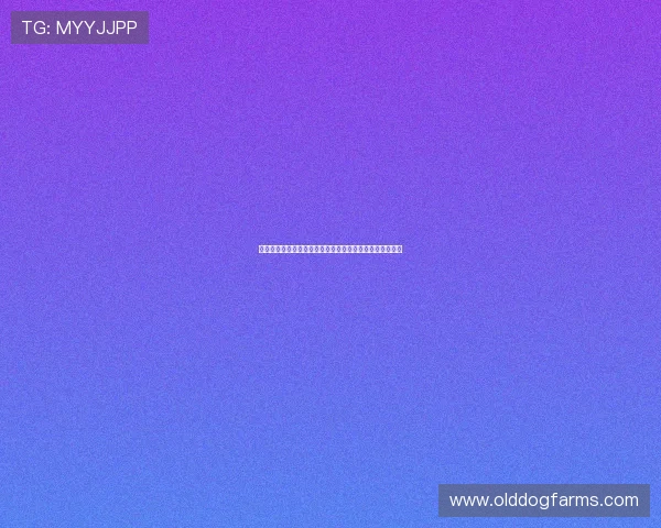 英皇手机版会员登录的重要性及常见问题解答帮你一扫烦恼