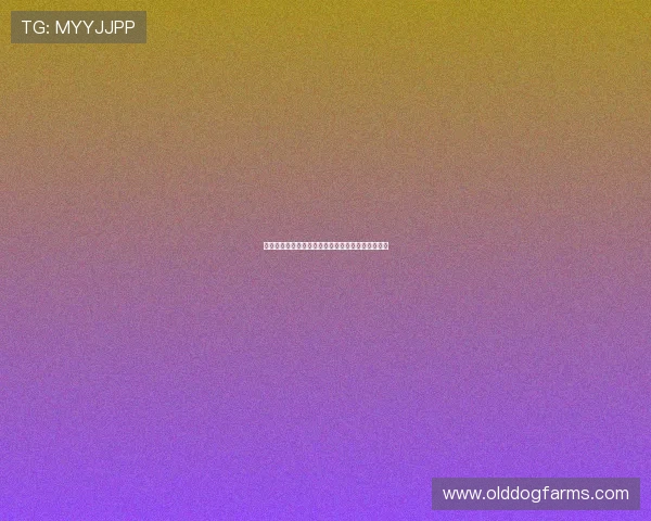 七星在线地址最新入口，保障玩家畅享无限精彩体验