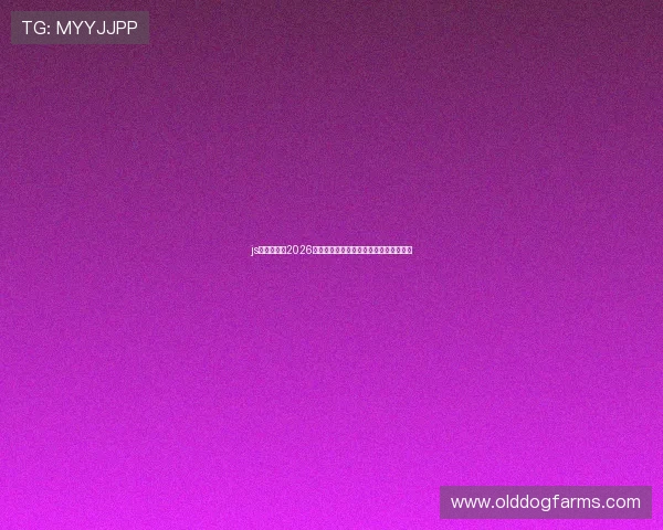 js金沙官网：2026世界杯足球明星表现点评与最佳球员推荐